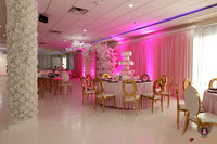 PinkBall25005