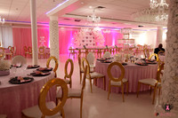 PinkBall25011