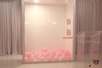 PinkBall25015