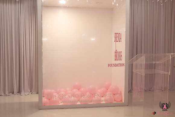 PinkBall25015