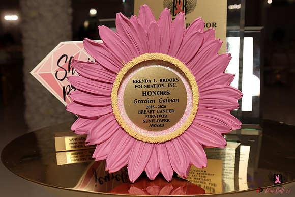 PinkBall25091